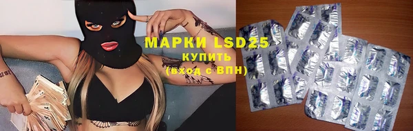 PSILOCYBIN Баксан