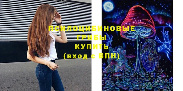 PSILOCYBIN Баксан