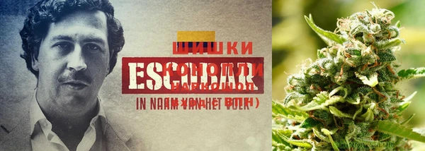 метадон Балахна