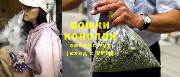 PSILOCYBIN Баксан